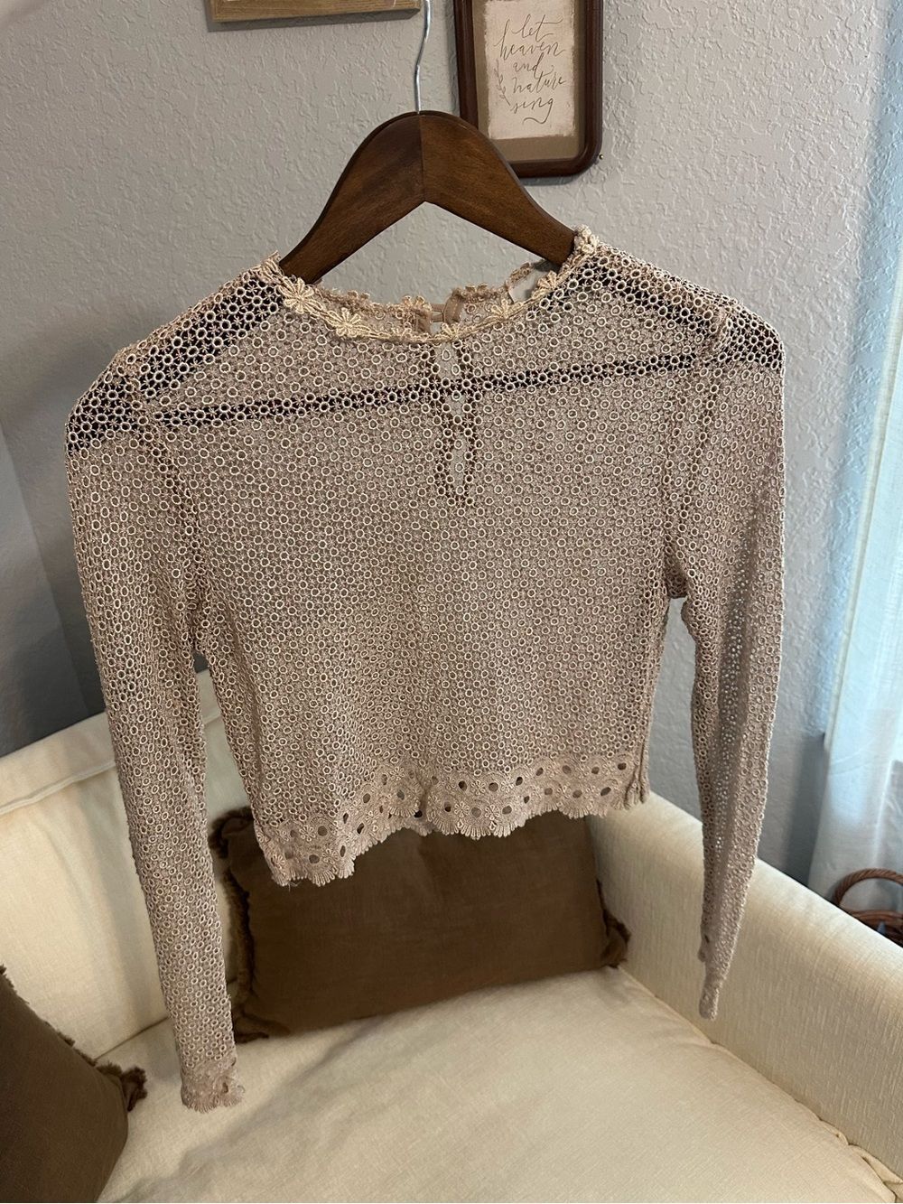 Vintage Lace Crochet Long-Sleeve Crop Top - Blush